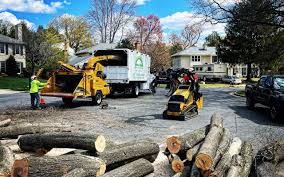 How Our Tree Care Process Works  in Galax, VA